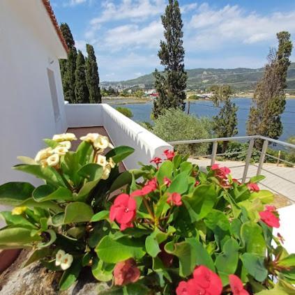 Skiathos Lagoterra Apartments Exteriér fotografie