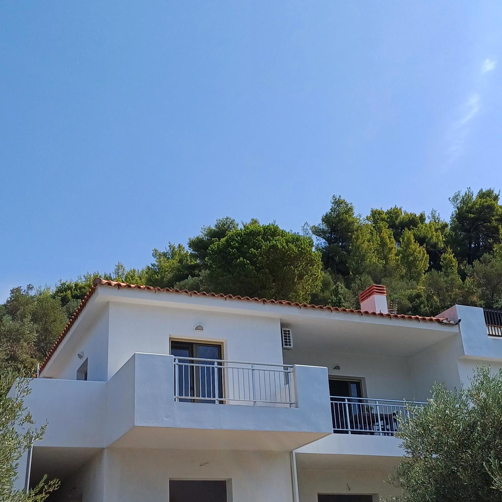 Skiathos Lagoterra Apartments Pokoj fotografie